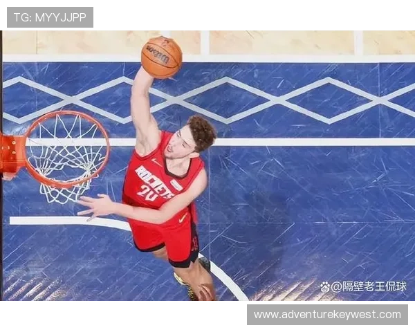 申京成为KD的抗抑郁药火蜜心脏承受不住约基奇称其小申京